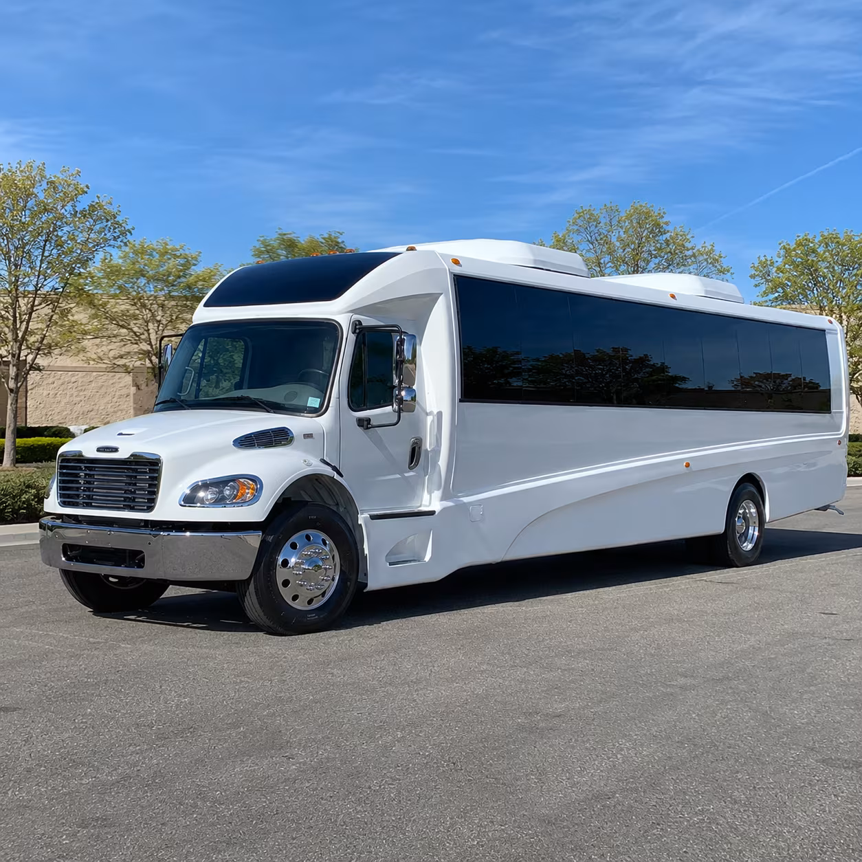 grand rapids 15 passenger minibus