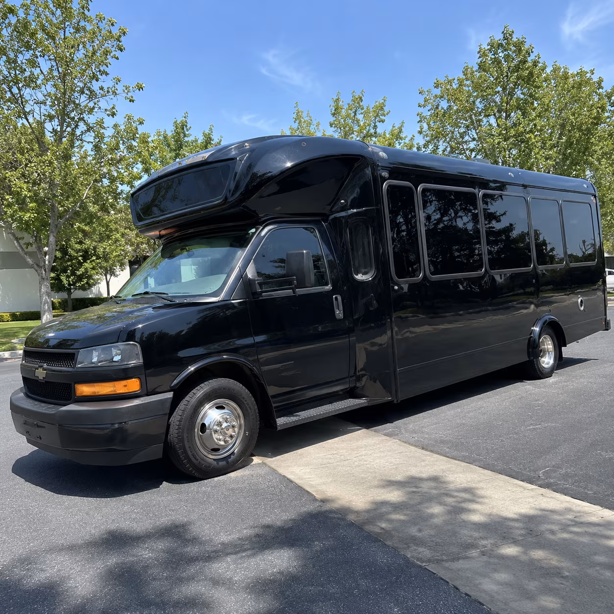 grand rapids 15 passenger party bus