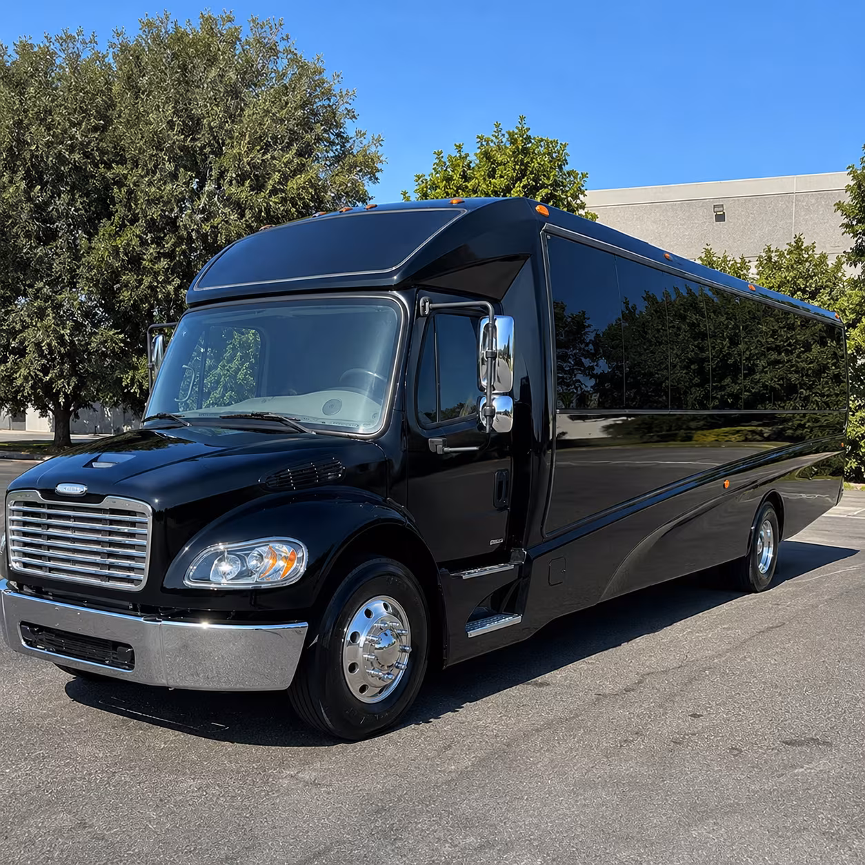 grand rapids 18 passenger minibus