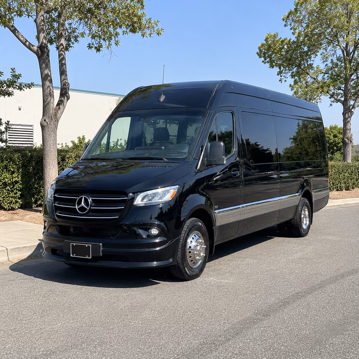 grand rapids prom transportation onboard seating