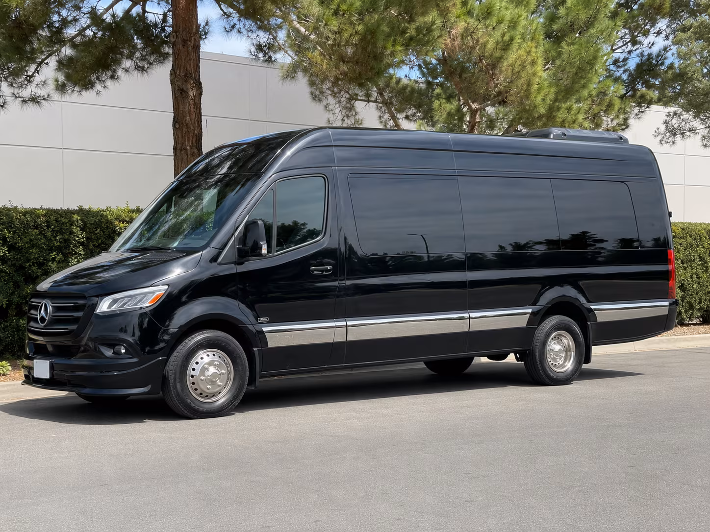 grand rapids sprinter van with driver